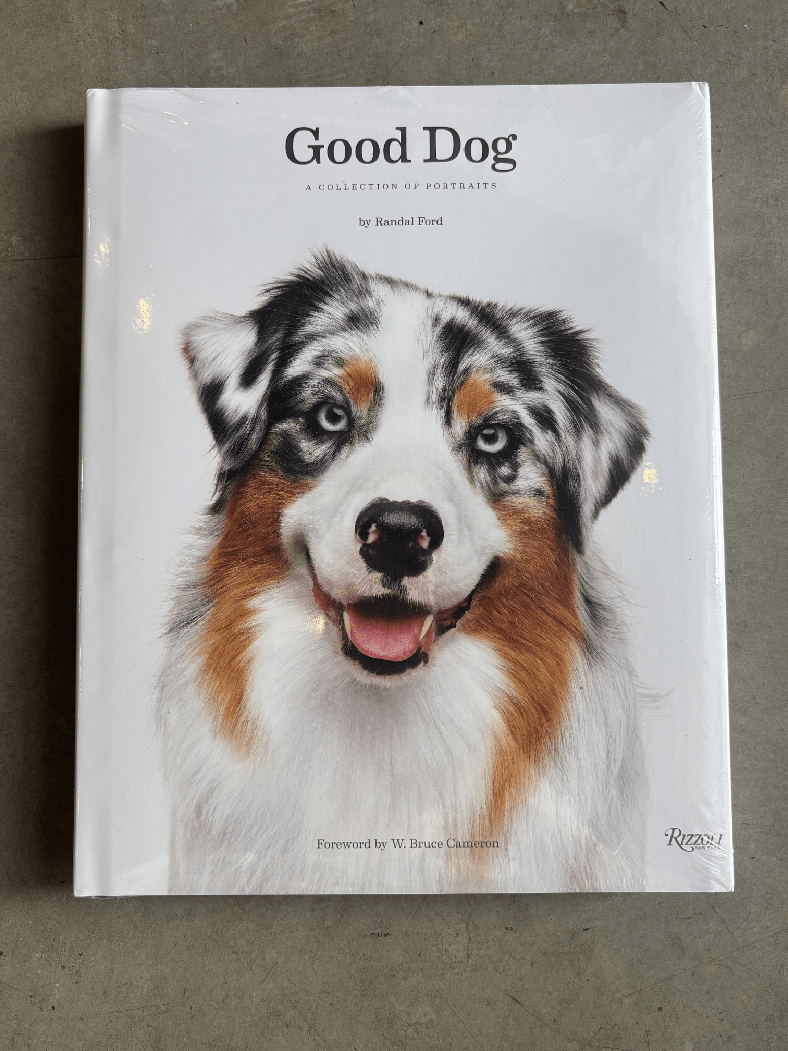 Good Dog: A Collection of Portraits | Dog Photography Book – Leela and ...