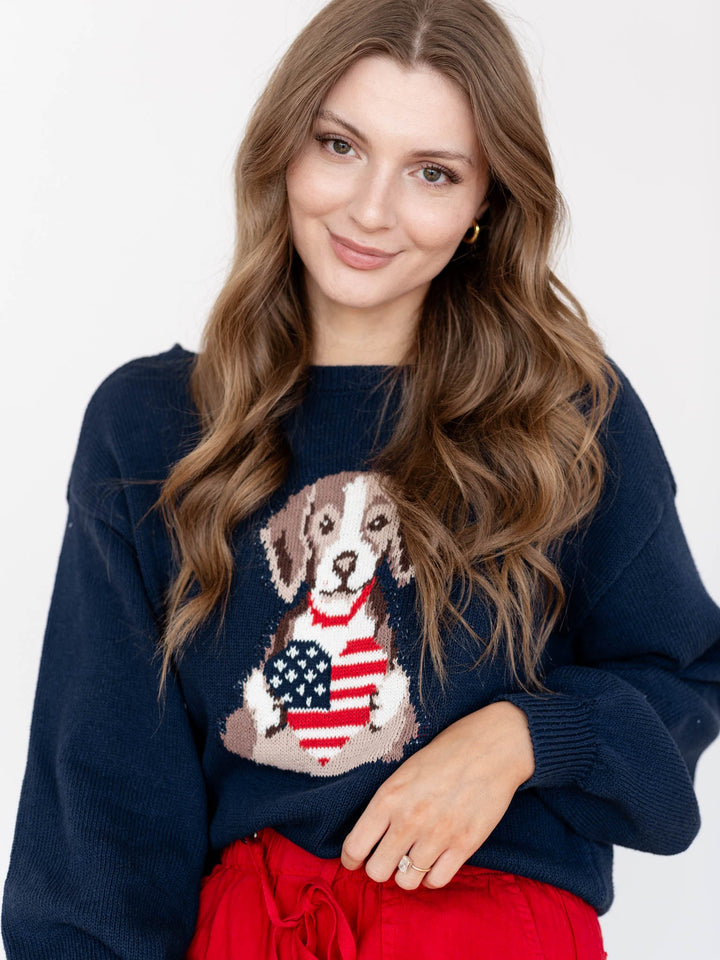 american flag puppy sweater