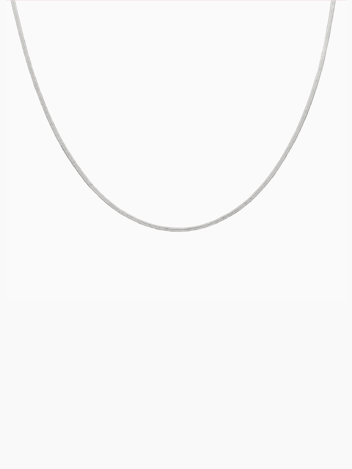 Silver chain necklace on a white background