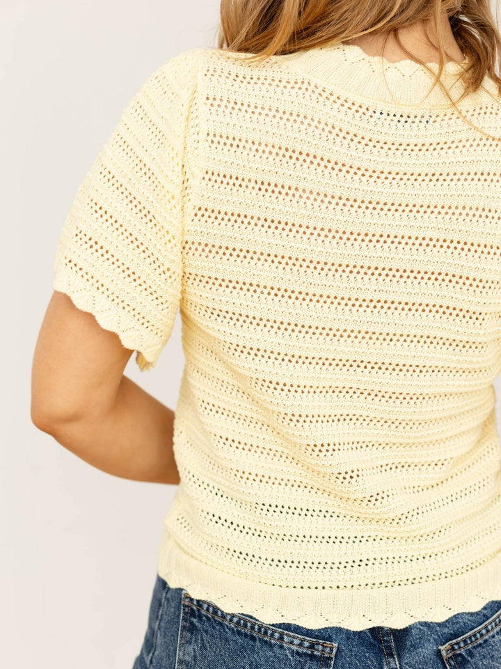 delicate crochet knit top
