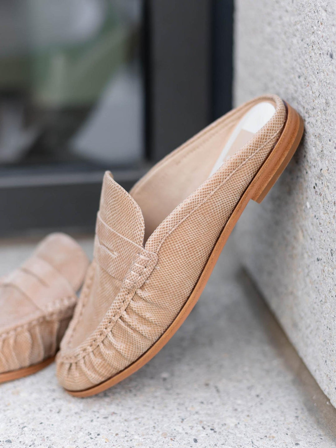 Dolce Vita Betzy Mule - Latte