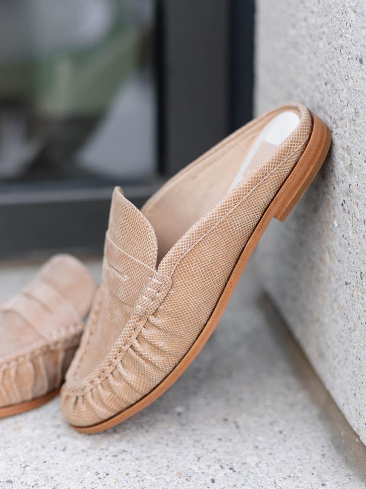 Dolce Vita Betzy Mule - Latte