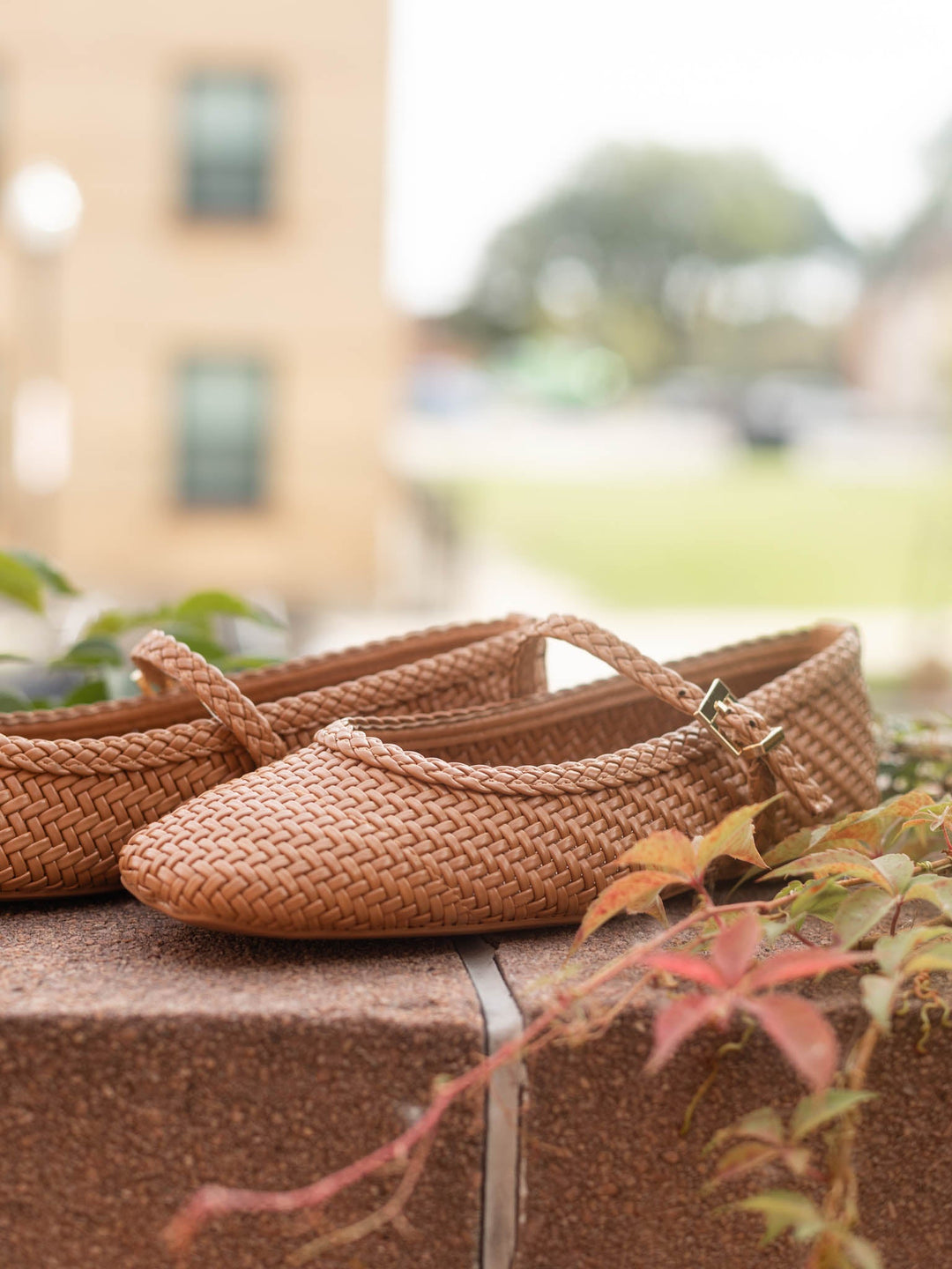 Dolce Vita Fabes Ballet Flat