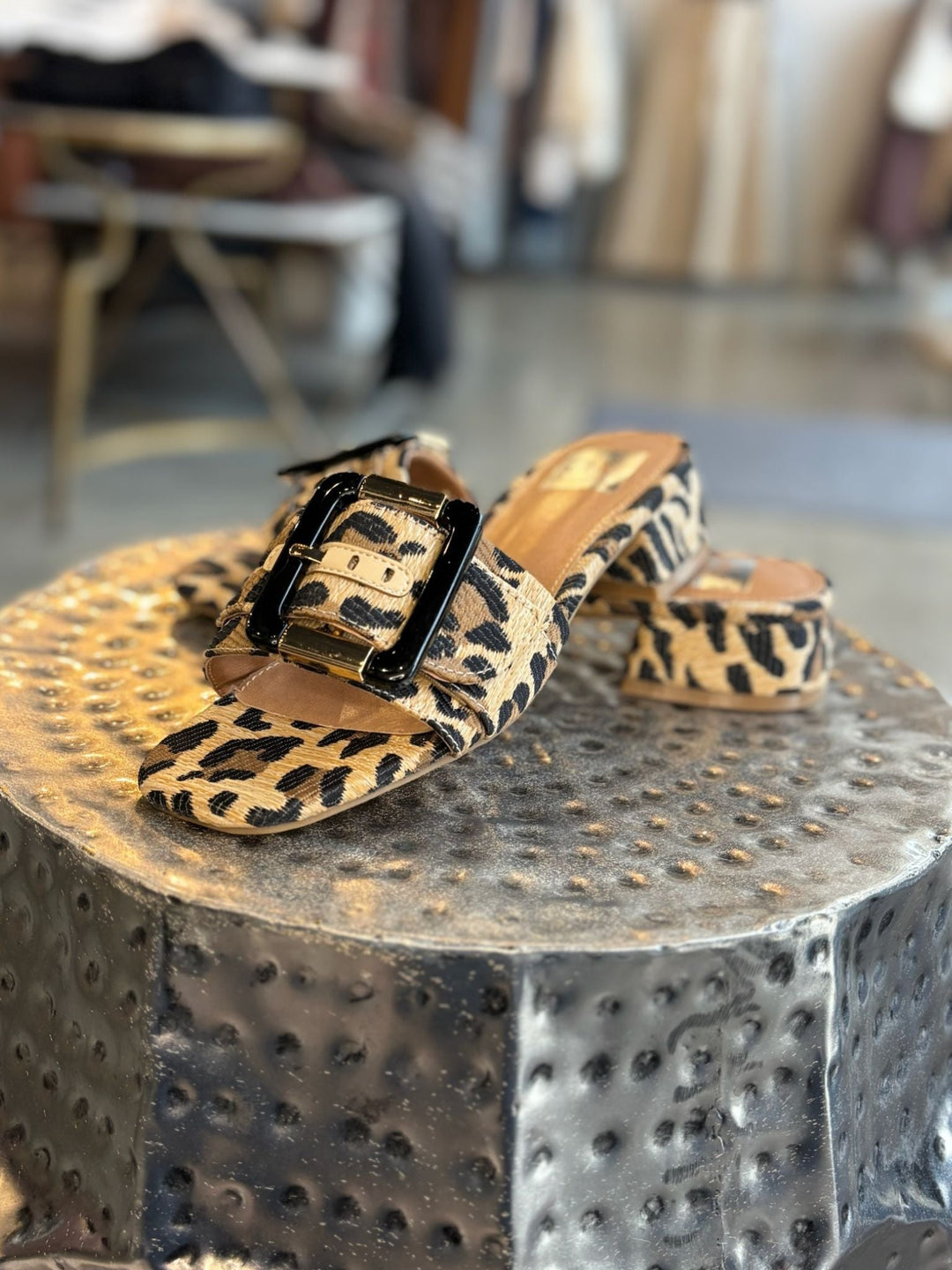 Leopard print sandals with a black buckle on a textured metallic surface.