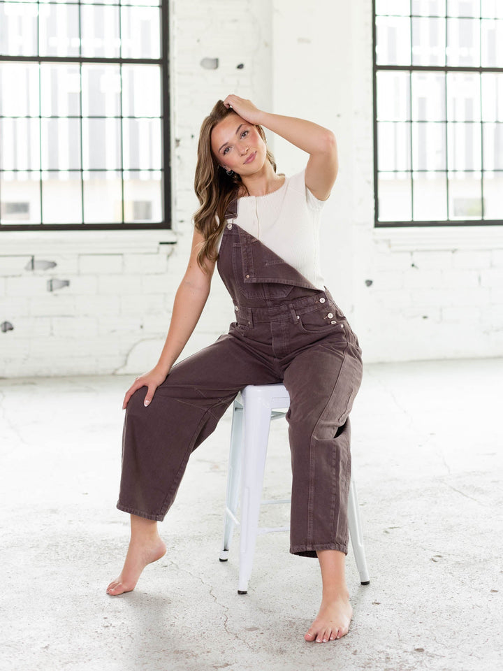 Free People Chocolate Mousse Good Luck Overall