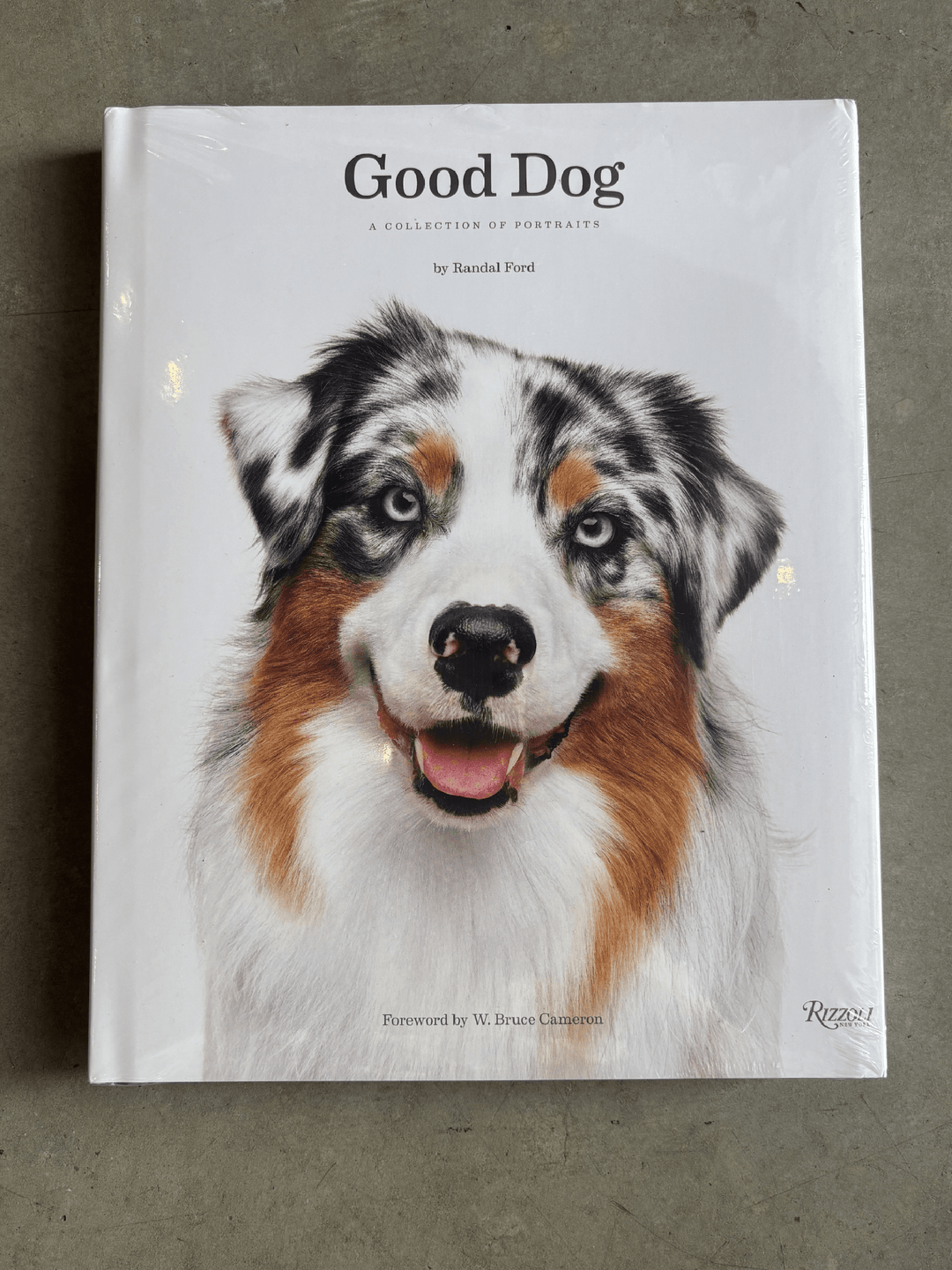 dog book
