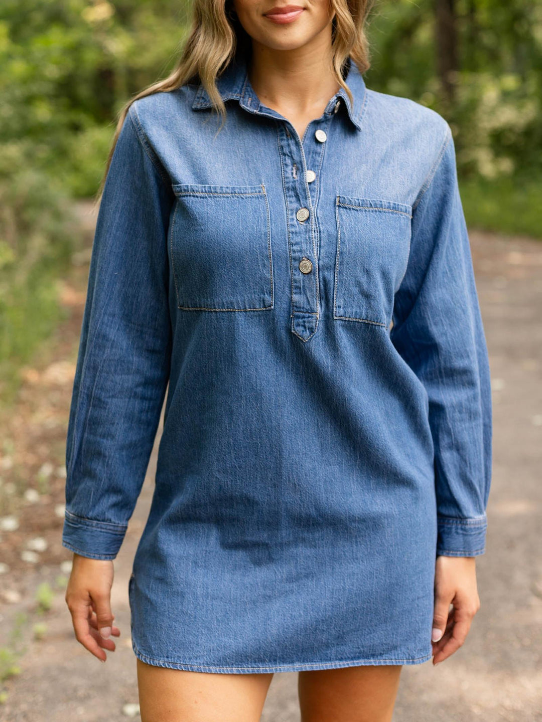 Z Supply Lucie Denim Shirt Dress