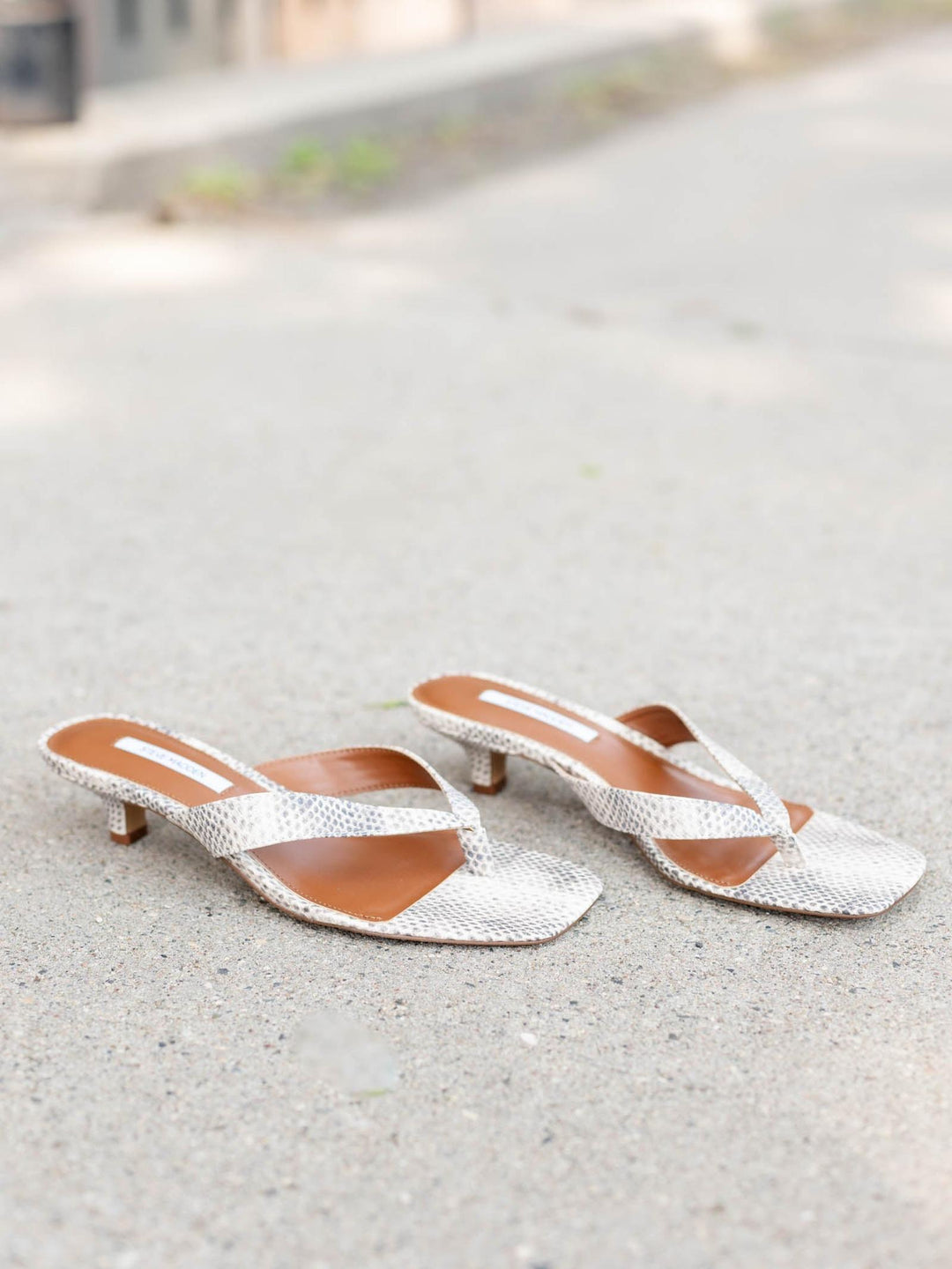 Steve Madden Tracie Sandal - Natural Snake