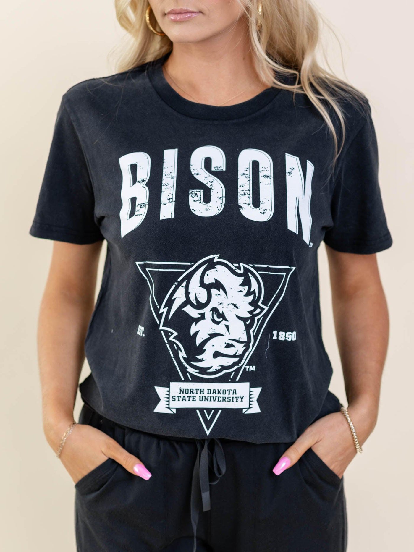 ndsu bison tee