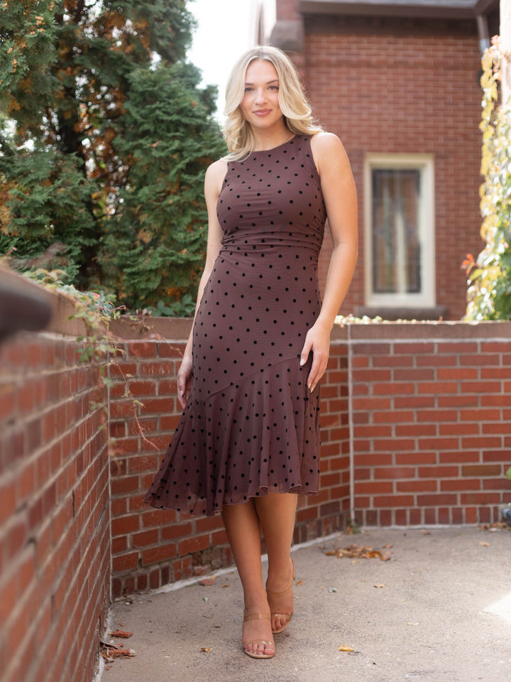 Rails Daija Dress - Chocolate Polka Dot