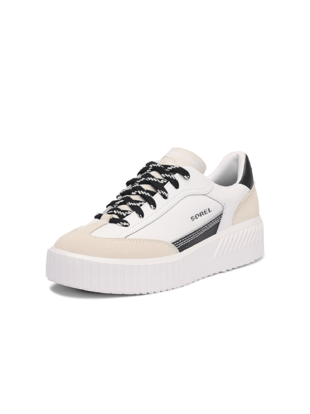 White sneaker with black laces on a white background