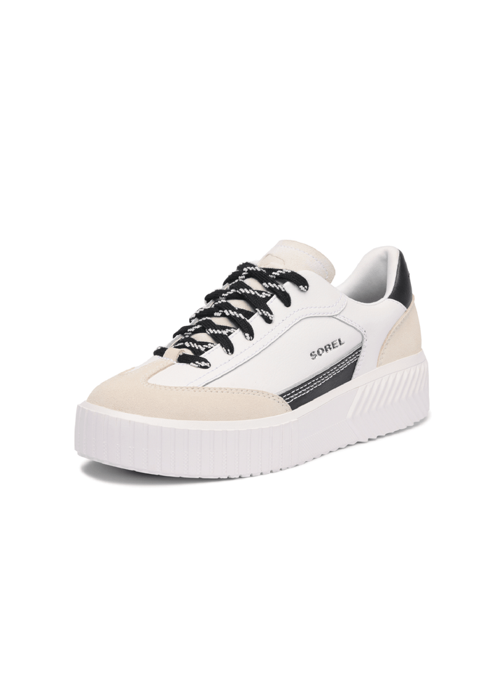 White sneaker with black laces on a white background