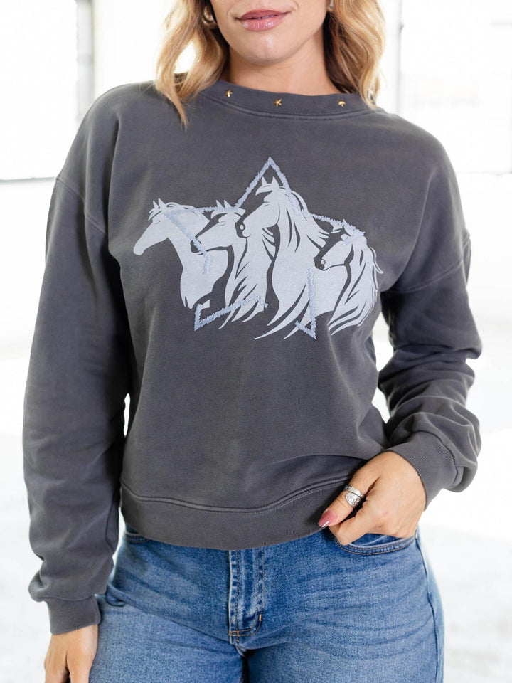 washed horses graphic sweatshirt