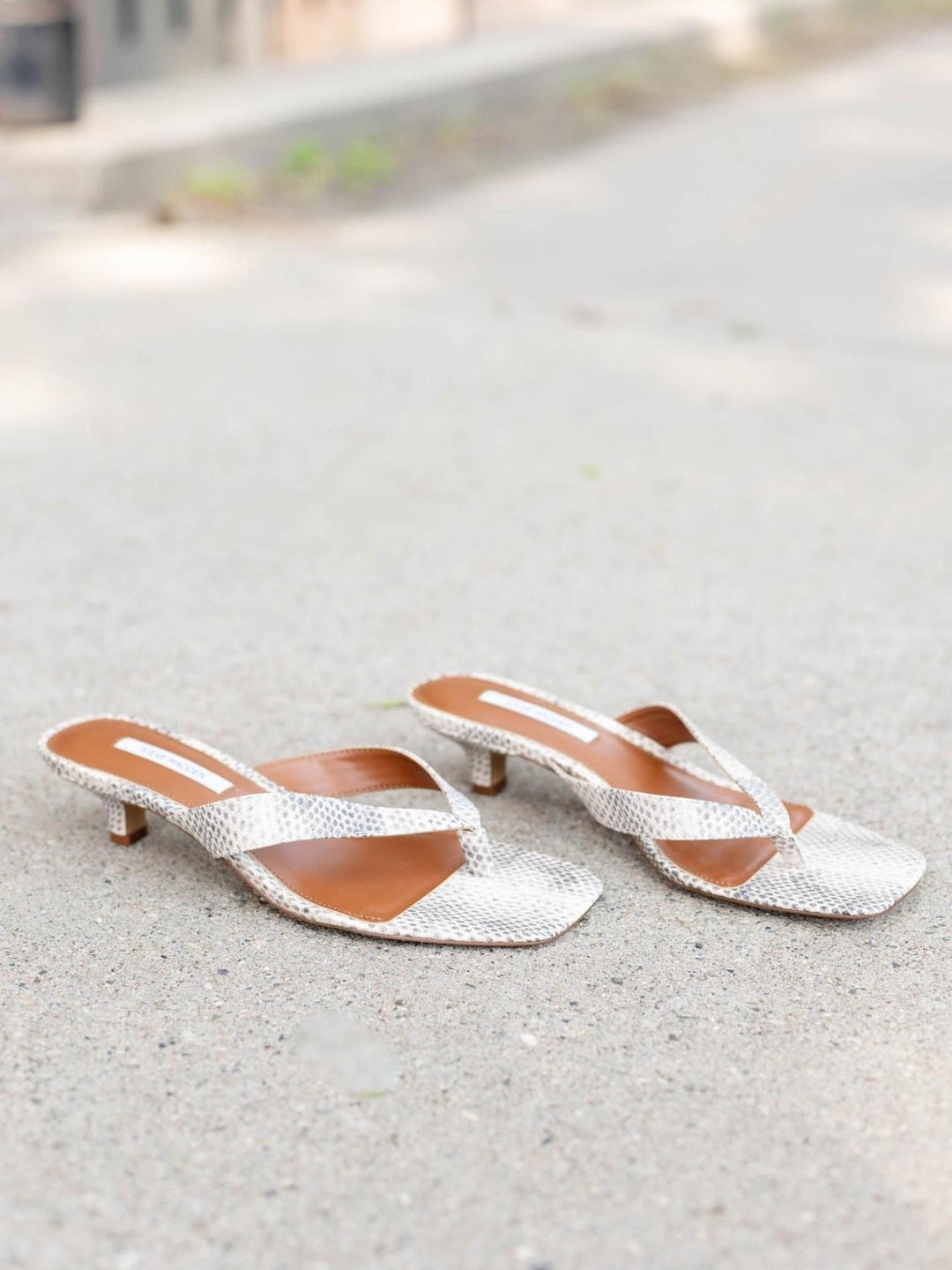 Steve Madden Tracie Sandal in natural snake print with thong strap and kitten heel on concrete.