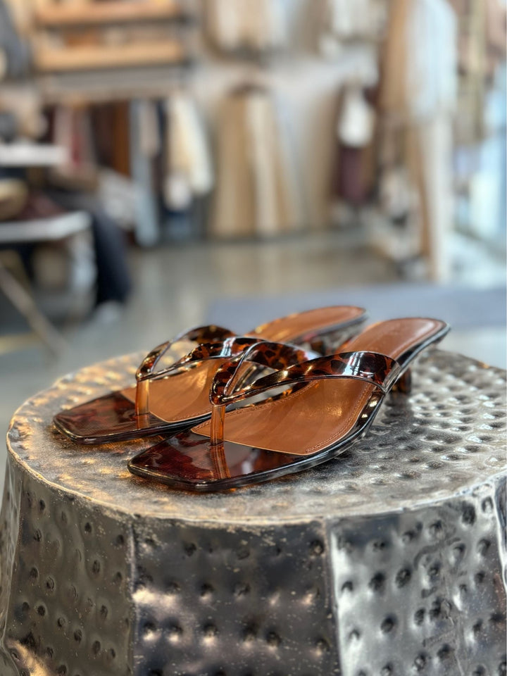Pair of tortoiseshell sandals on a textured metal surface with a blurred indoor background.
