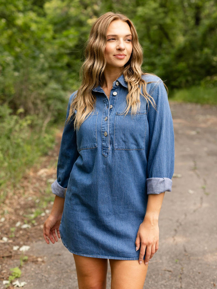 Z Supply Lucie Denim Shirt Dress