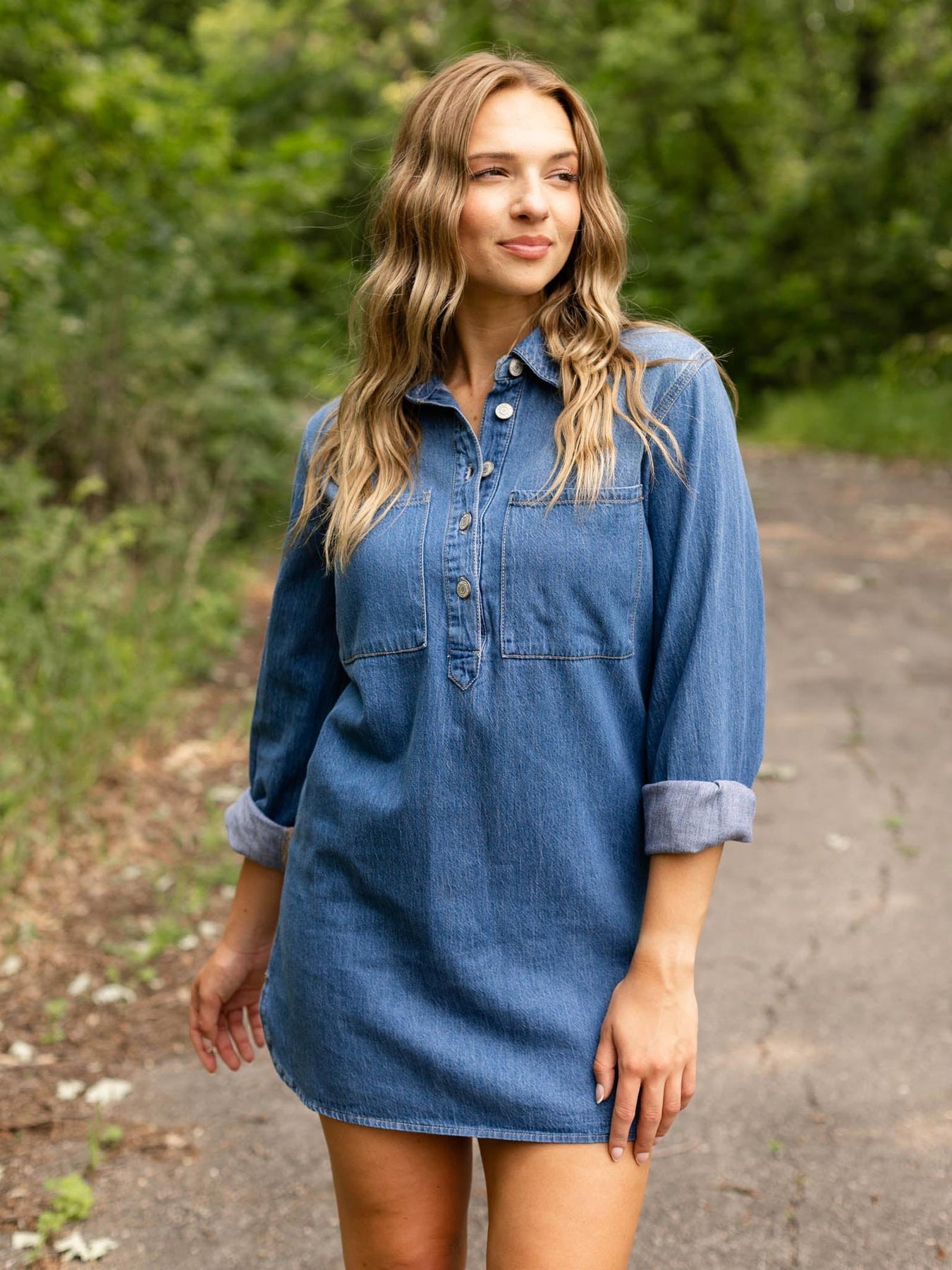 Z Supply Lucie Denim Shirt Dress Dreamstate / Large