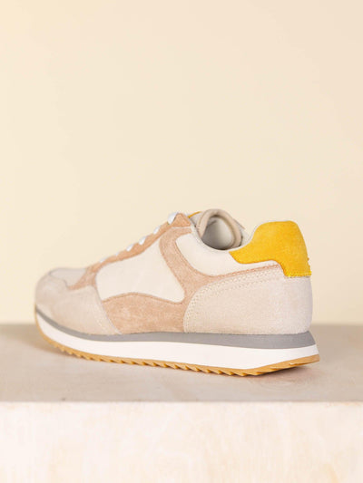 colored sneaker