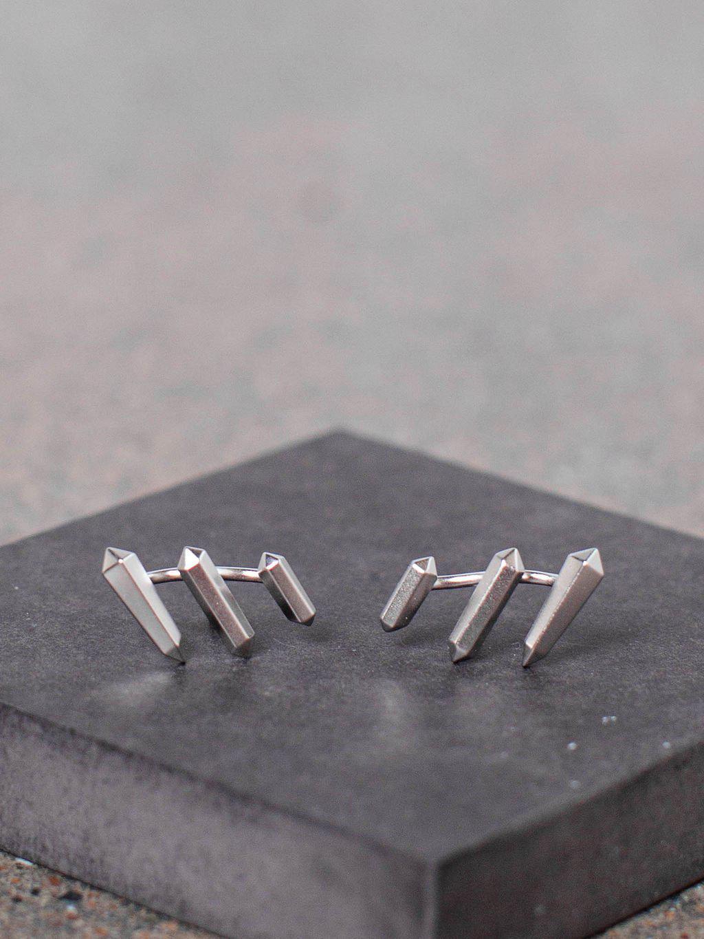 silver ear climber