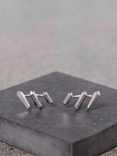 silver ear climber