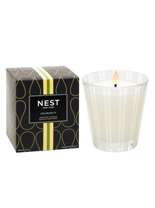 NEST-NEST Grapefruit Classic 8.1oz Candle - Leela and Lavender