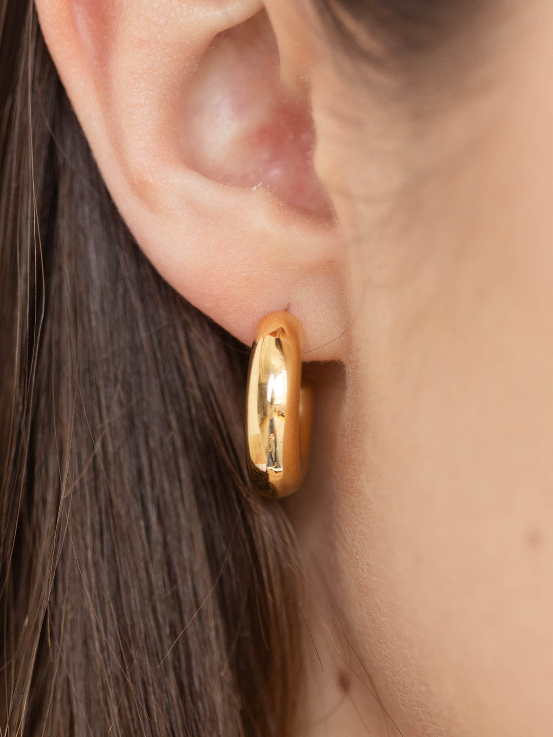 Sahira Chloe Mini HoopPremium earring