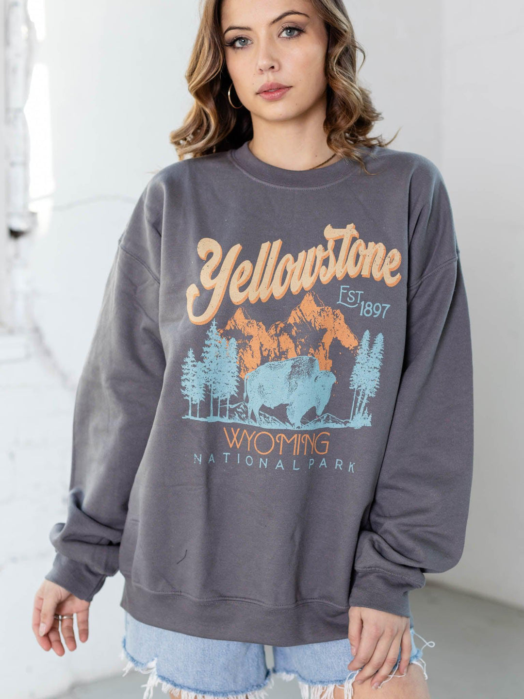 Sweet Claire Inc-Yellowstone Buffalo Sweatshirt - Leela and Lavender